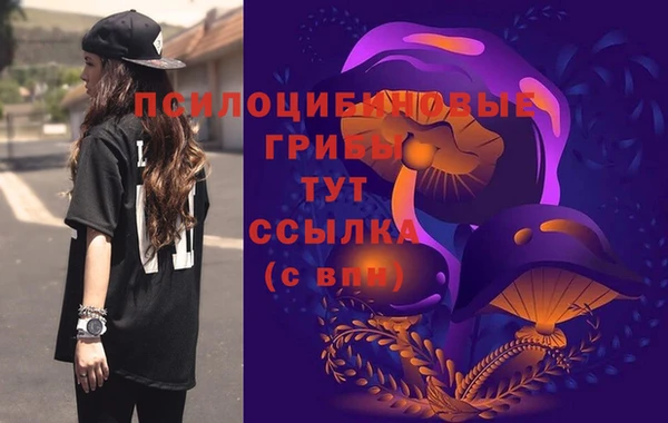 гашиш Бородино